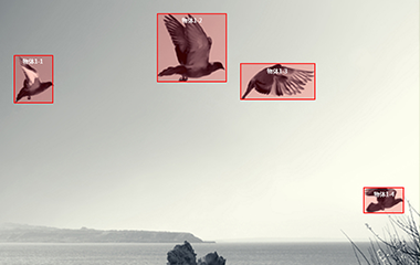 蓝狮平台登录视频标注